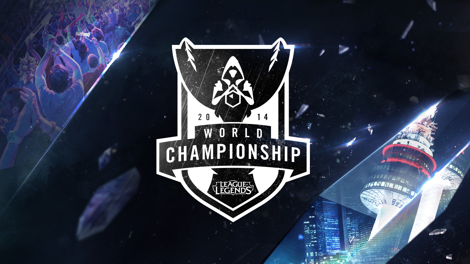 都在初期经 都在初期经