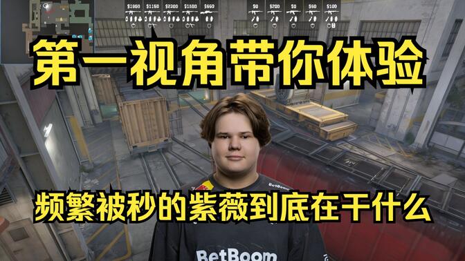 慧与亲和